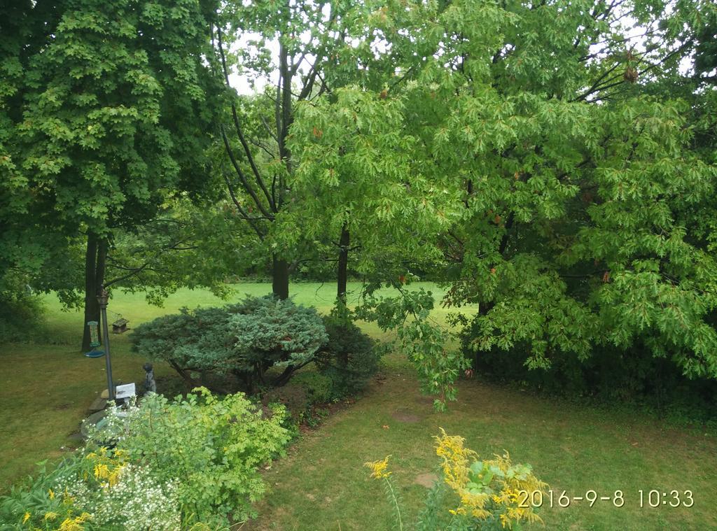 多伦多邓肯公园民宿 Toronto Duncan Park Guesthouse Exterior photo